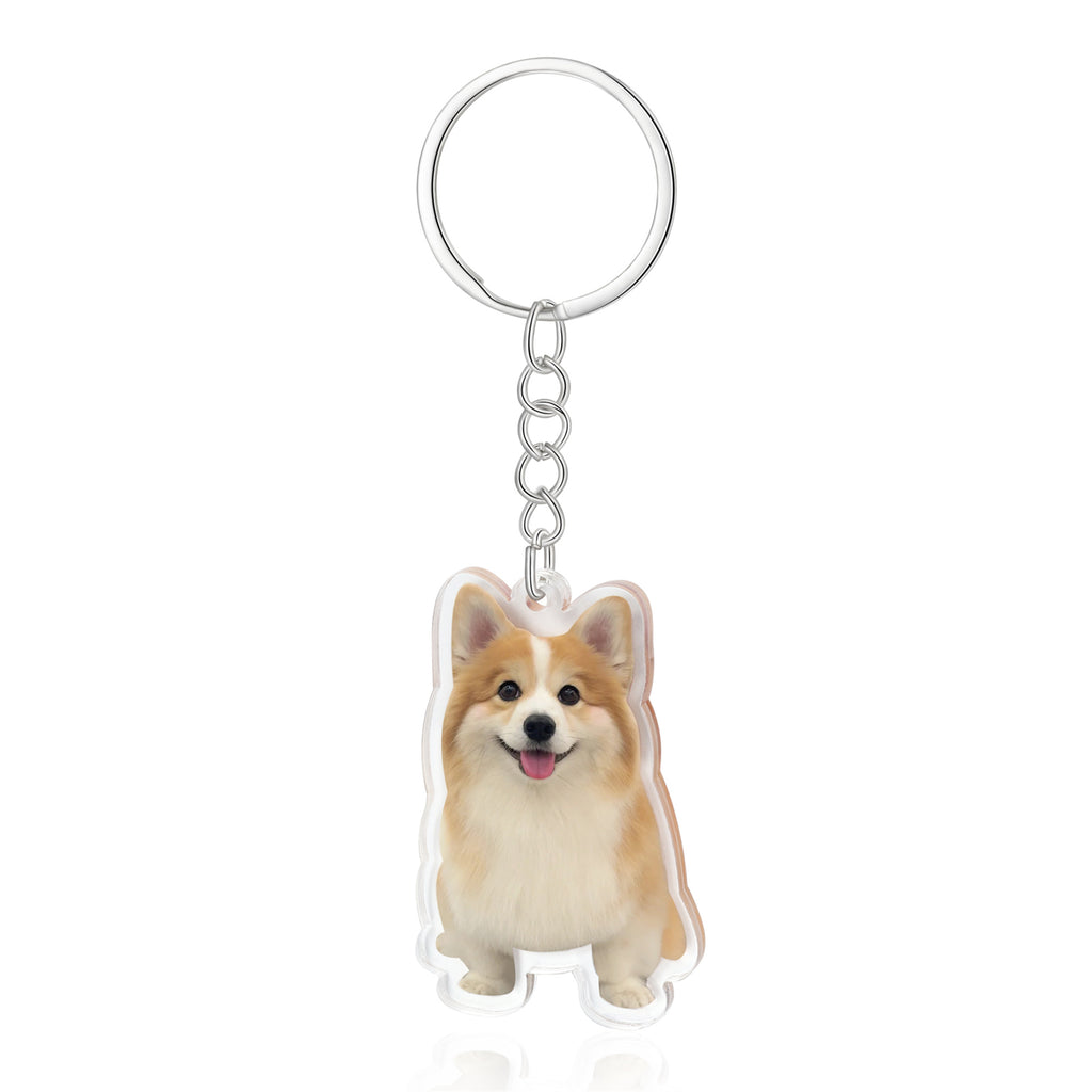 Custom acrylic pet keychain with high-quality print. Size: 34x1x53mm, weight: 20g. Great for pet parents.