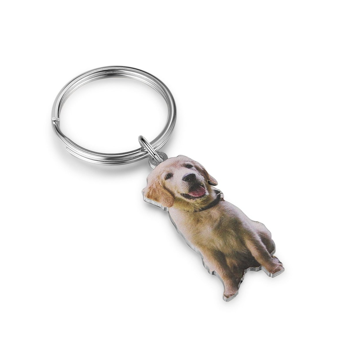 Dog photo keyring hotsell